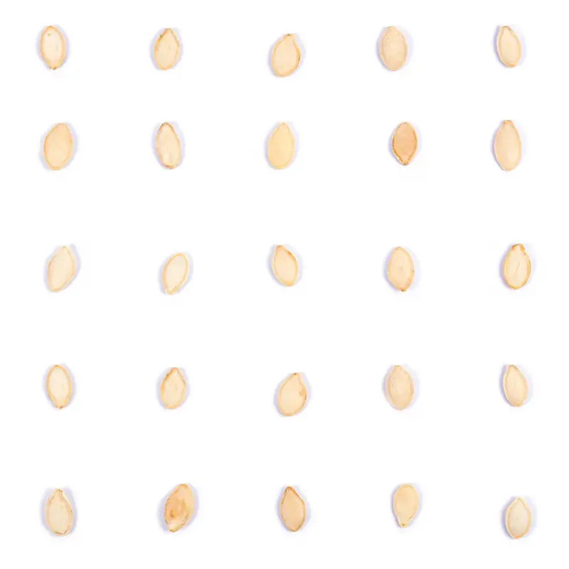 تخمه کدو گوشتی برشته دو آتشه