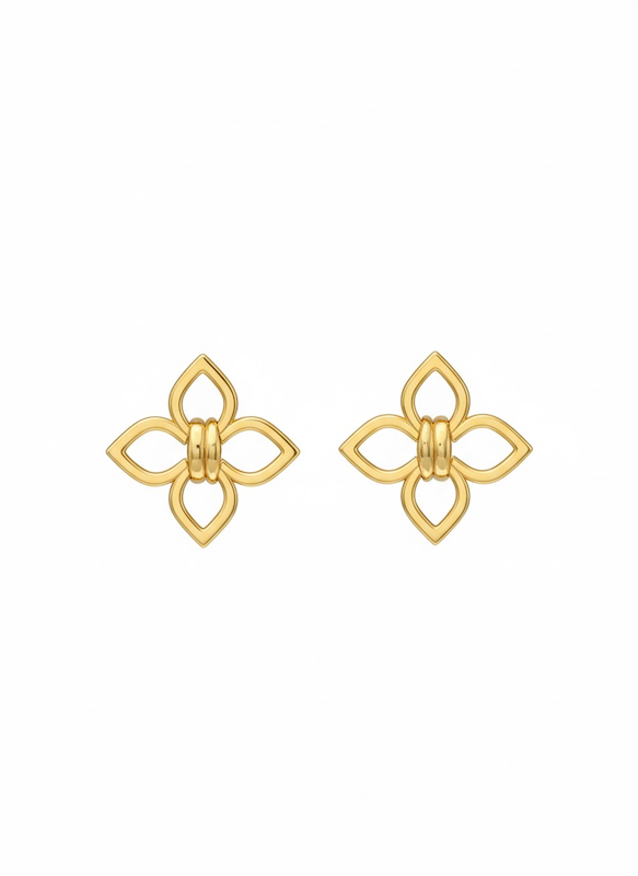 گوشواره روبرتو