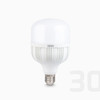 لامپ LED جاینت 30 وات پایه E27 بروکس مهتابی