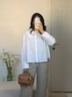 Zara Embroidered shirt