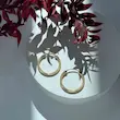 گوشواره طلا زنانه حلقه ای کد MT1851