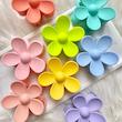 بابونه هشت سانتی🌸