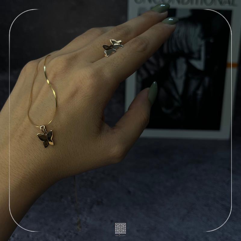 پلاک پروانه آیینه ای