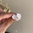نیمست شکوفه