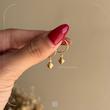 پلاک اویز گوشواره