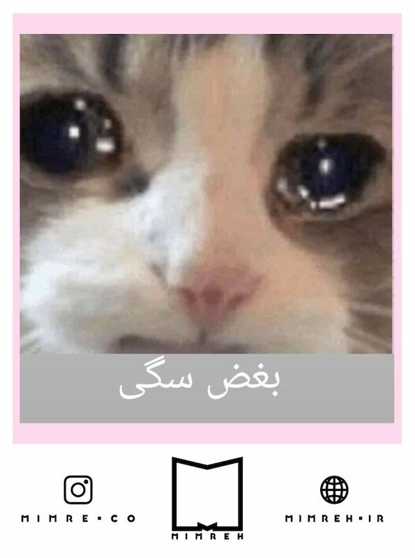 استیکر Meme120