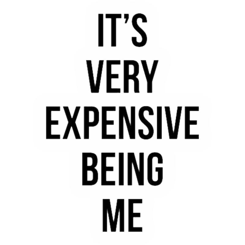 استیکر Its very Expencive Being Me
