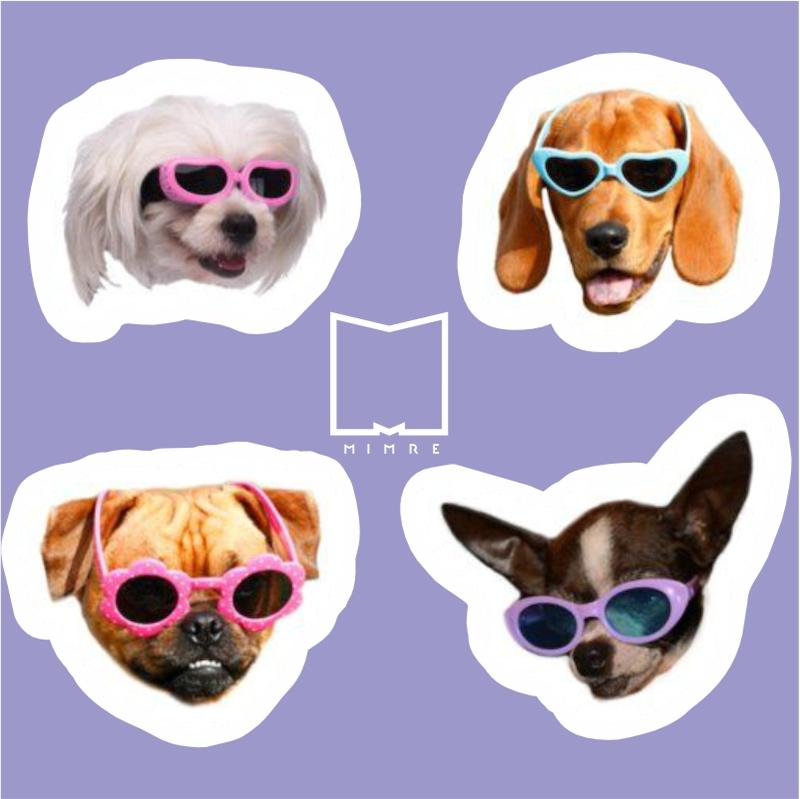 پک استیکر Dog Memes