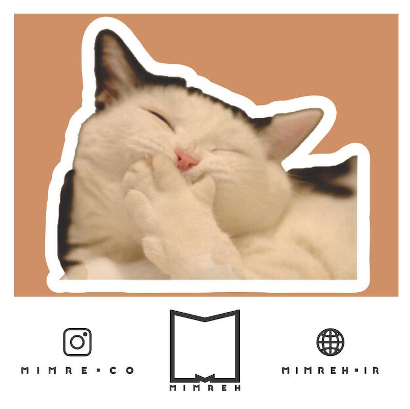استیکر Cat Meme