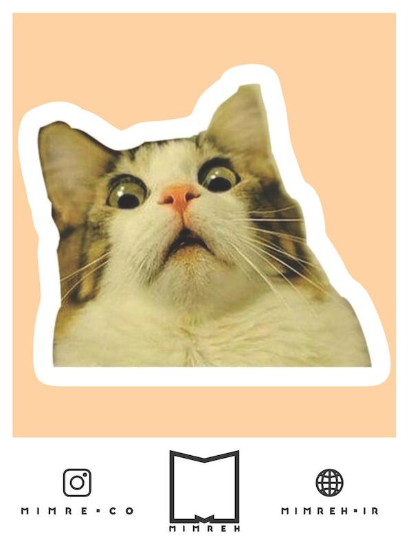 استیکر Cat Meme