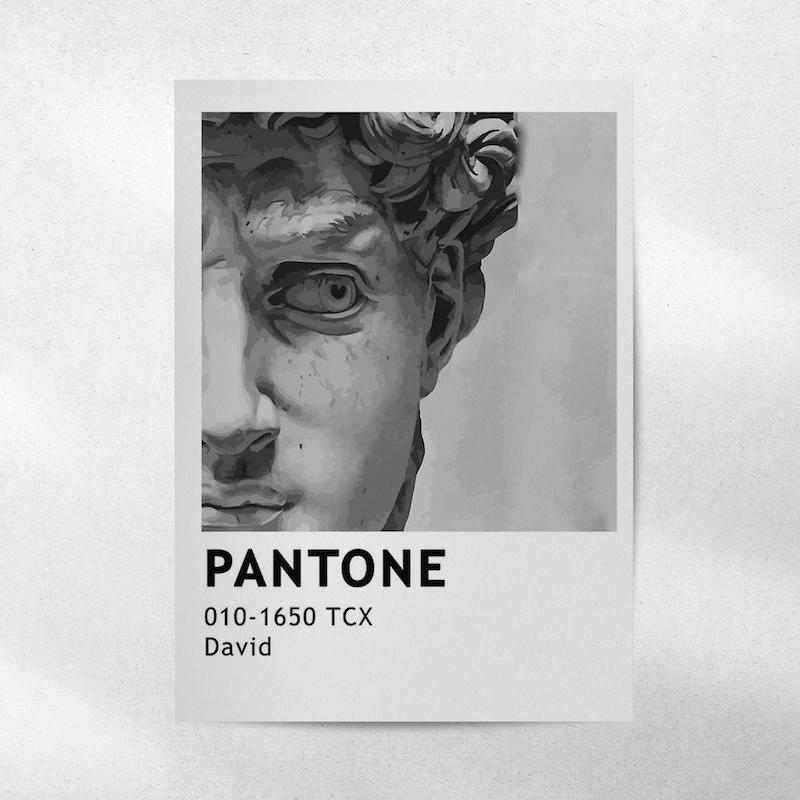 پوستر David – pantone