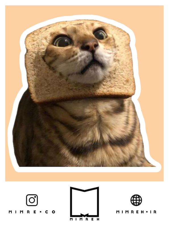استیکر Cat Meme