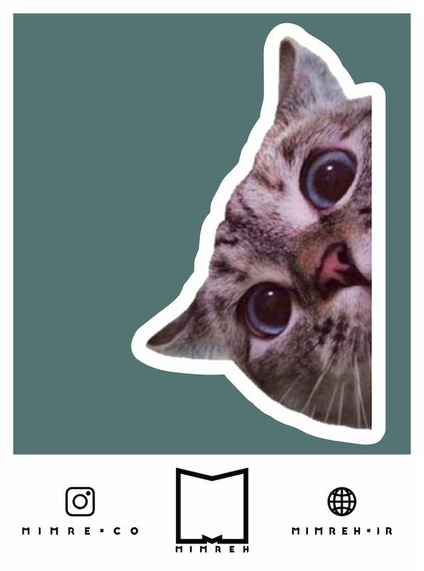 استیکر Cat Meme