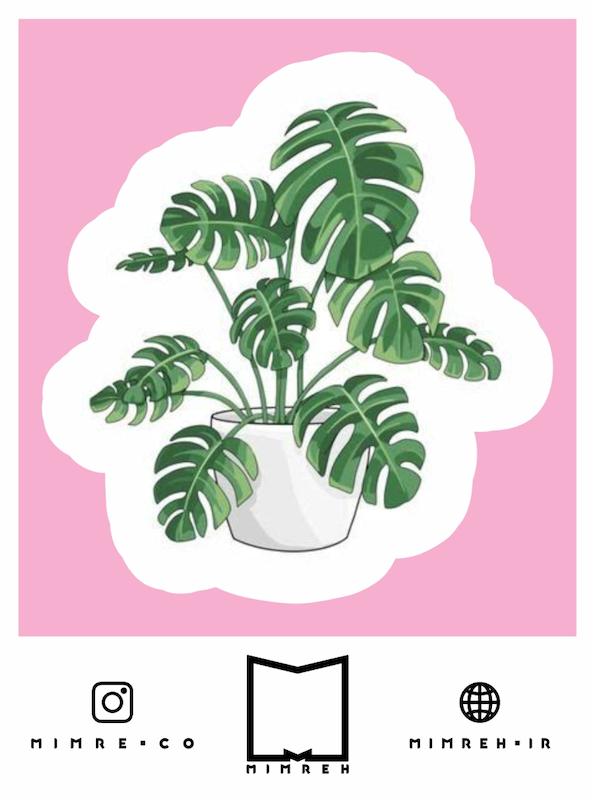 استیکر   Plant