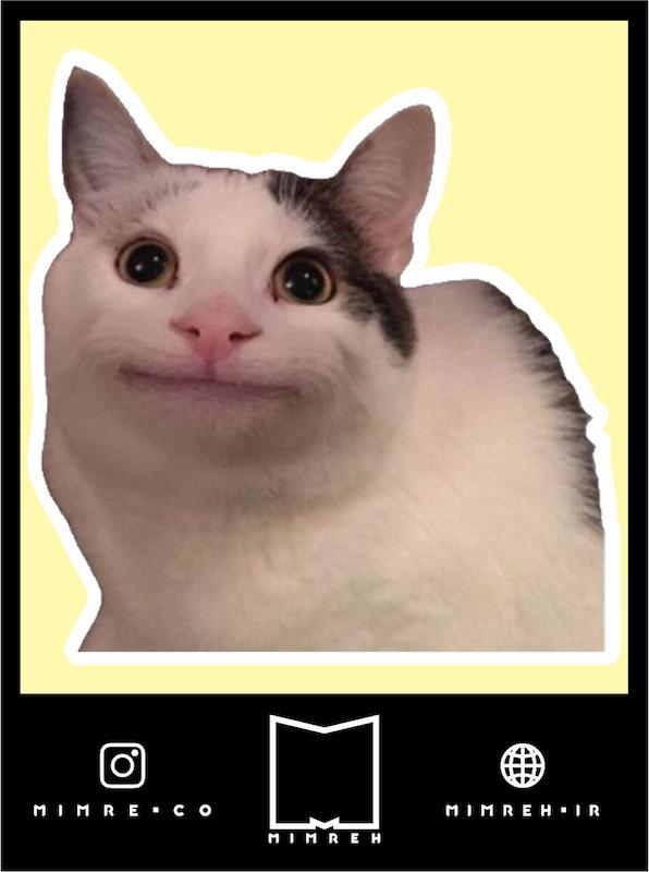 استیکر   Cat meme