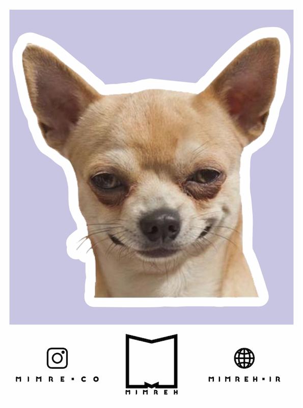 استیکر Dog meme
