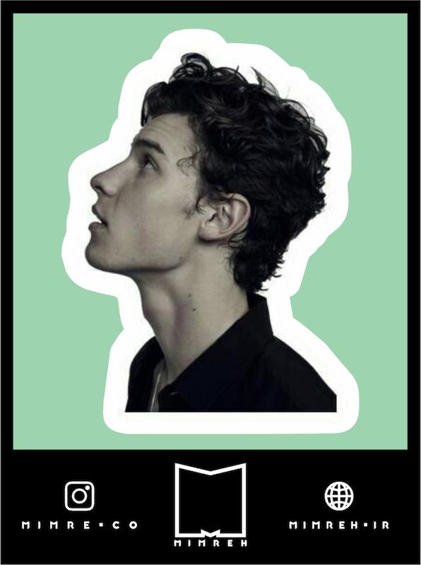 استیکر Shawn Mendes