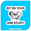 استیکر sit on your and study