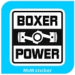 استیکر  BOXER