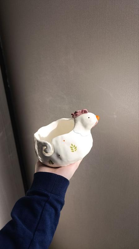 جا کاموایی مرغ 