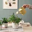 IKEA – آبپاش ایکیا مدل ÅKERBÄR 