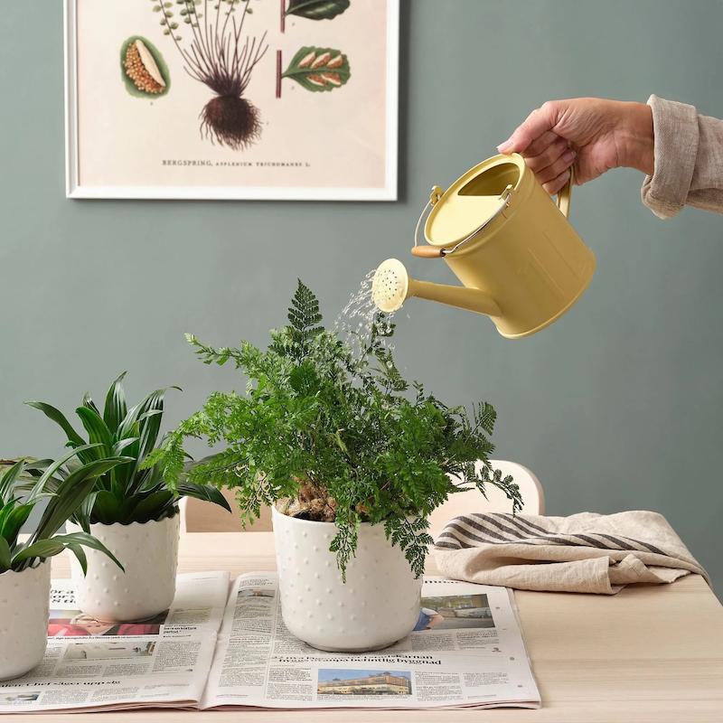 IKEA – آبپاش ایکیا مدل ÅKERBÄR 