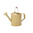 IKEA – آبپاش ایکیا مدل ÅKERBÄR 