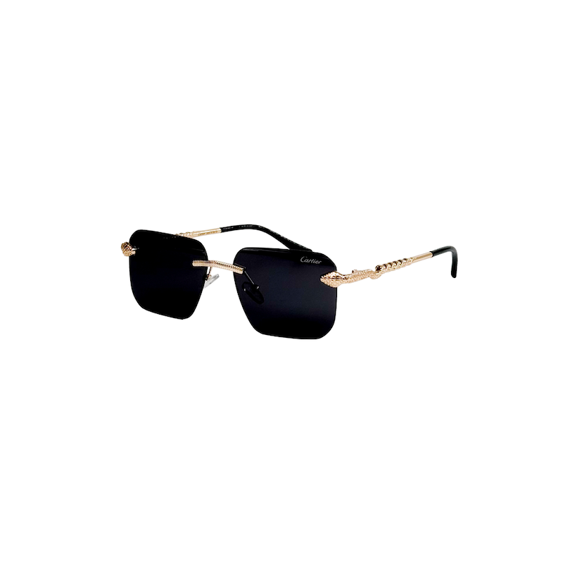 CAARTIER sunglass 119 | عینک کارتیر