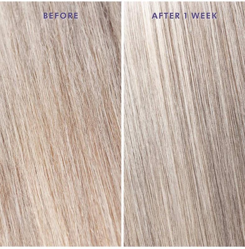 روغن درمانی Moroccanoil Treatment Purple 