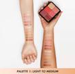 پالت رژگونه Make up for ever