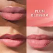 تینت لب تاچا The Kissu Lip Tint TATCHA