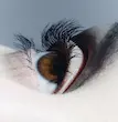 ریمل Wisp Lash از برند Kylie Cosmetics برای مژه بلندتر و تفکیک‌شده 