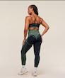 لگ ورزشی زنانه جیم شارک مدل Apex Seamless Leggings رنگ Heavy Blue / Active Green