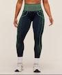 لگ ورزشی زنانه جیم شارک مدل Apex Seamless Leggings رنگ Heavy Blue / Active Green