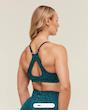 Adapt Animal Seamless Sports Bra Navy/Brand Blue نيم تنه ورزشي جيم شارك