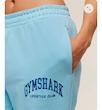 Collegiate Graphic Joggers – Athletic Light Blue شلوار اسلش جيم شارك