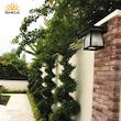 چراغ دیواریSH-4501 شعاع