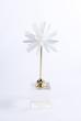 مجسمه دكوراتيو (starburst)ميروهوم