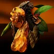 عطر Ambre Levant