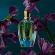 عطر زرجوف Irisss(17/17 collection)