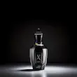 عطر زرجوف  Duran Duran Black Moonlight (Blends collection)