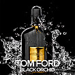 TOM FORD BLACK ORCHID - تام فورد بلک ارکید 