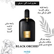 TOM FORD BLACK ORCHID - تام فورد بلک ارکید 