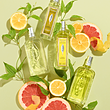 ادوتویلت Citrus Verbena