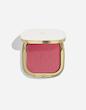 پودر رژگونه و سایه چشم دولچه گابانا | Dolce & Gabbana Blush & Eyeshadow Powder