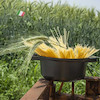 قابلمه درب دار 24 ریزولی Risoli Granito Hardstone