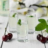 شات پایه پر استرلینگ Krosno