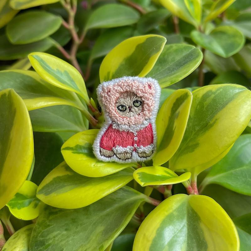 گربه کلاه پشمی 