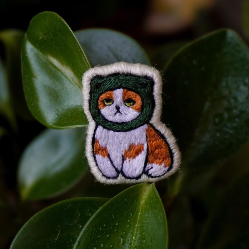 گربه قورباغه