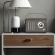 اسپیکر و رادیو گرین لاین Vintage
